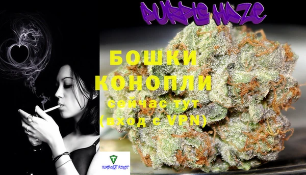 мдпв Нягань